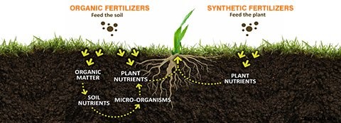 21+ Organic Fertilizers and How To Use Them In Your Garden