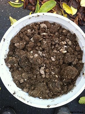 21+ Organic Fertilizers and How To Use Them In Your Garden