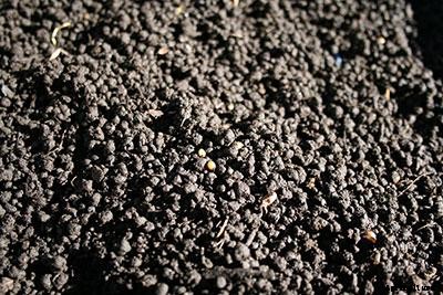 21+ Organic Fertilizers and How To Use Them In Your Garden