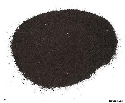 21+ Organic Fertilizers and How To Use Them In Your Garden