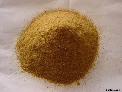 21+ Organic Fertilizers and How To Use Them In Your Garden