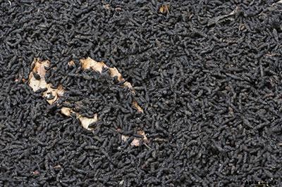 21+ Organic Fertilizers and How To Use Them In Your Garden