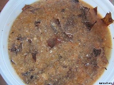 21+ Organic Fertilizers and How To Use Them In Your Garden