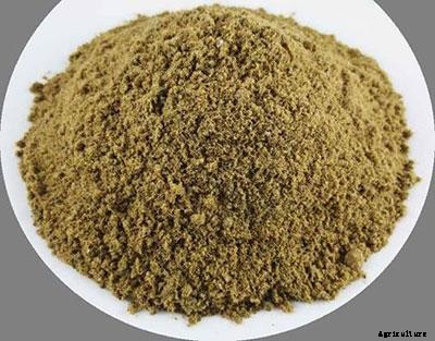 21+ Organic Fertilizers and How To Use Them In Your Garden