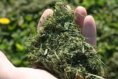 21+ Organic Fertilizers and How To Use Them In Your Garden