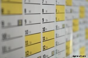 Gardening With Children: 5 Tips To Get Them Outside