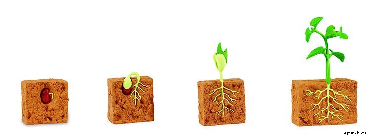 Gardening With Children: 5 Tips To Get Them Outside