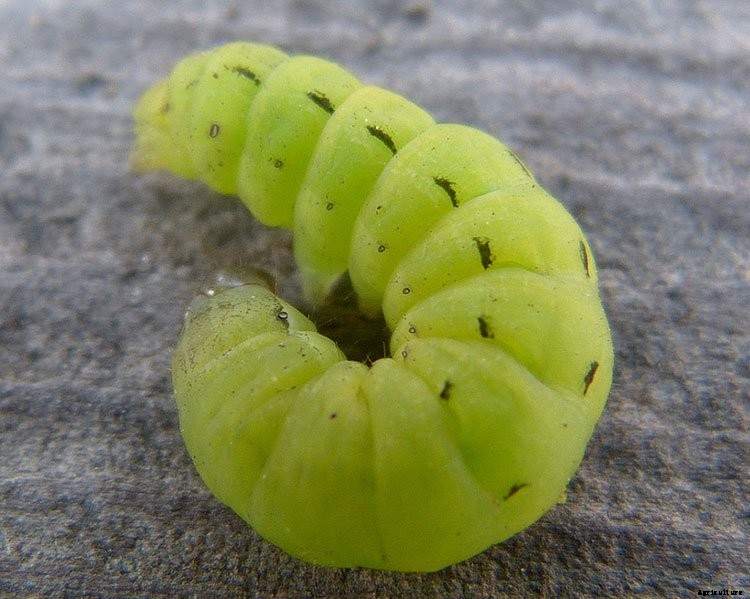 6 Off The Wall Gardening Ideas To Try This Spring