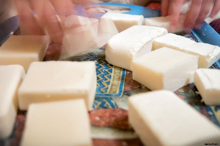 6 Off The Wall Gardening Ideas To Try This Spring