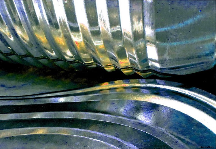 6 Off The Wall Gardening Ideas To Try This Spring