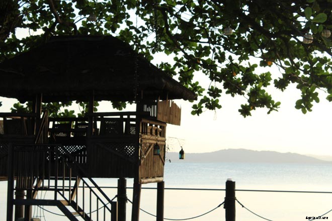 30+ Creative and Doable Alternative Housing Ideas