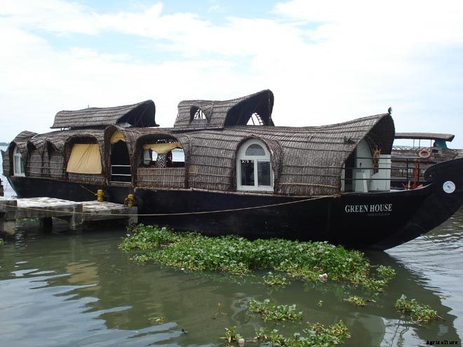 30+ Creative and Doable Alternative Housing Ideas