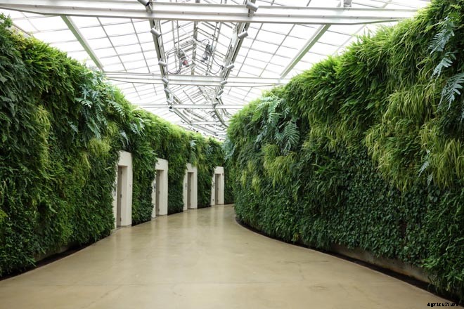 30+ Creative and Doable Alternative Housing Ideas