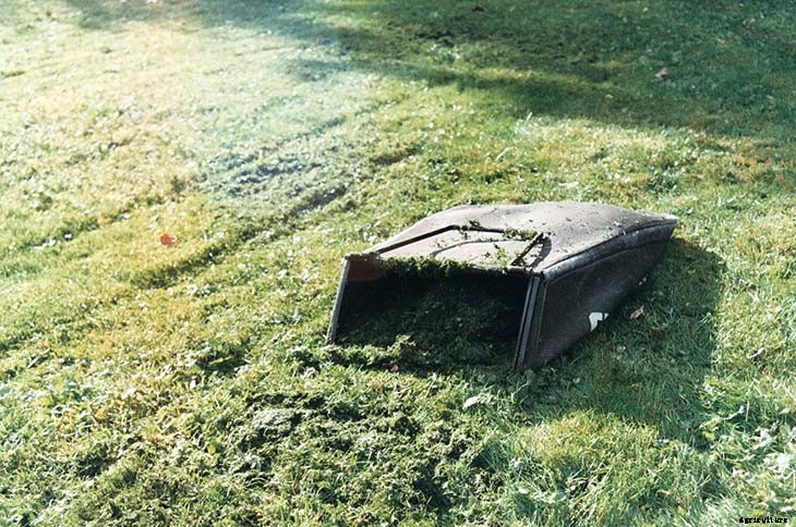 24 Cheap Mulch Ideas to Save Money