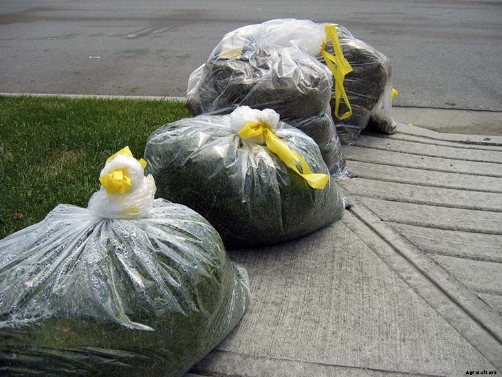 24 Cheap Mulch Ideas to Save Money