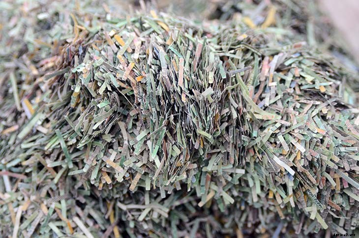 24 Cheap Mulch Ideas to Save Money