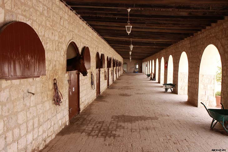 24 Cheap Mulch Ideas to Save Money