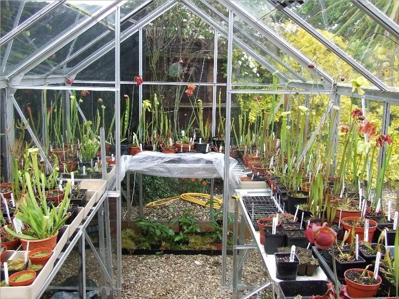 18 Insane Facts About Carnivorous Plants