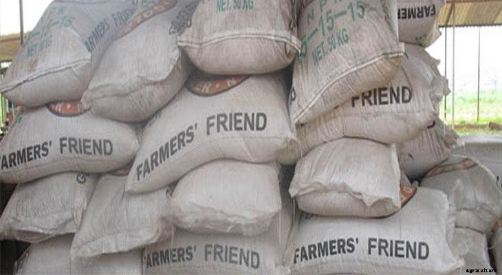 Compost vs. Fertilizers: What’s the Difference?