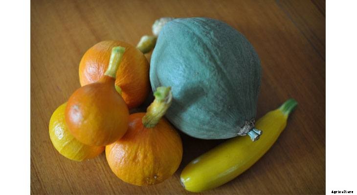 The 6 Best Veggies to Preserve (And How to Do It)