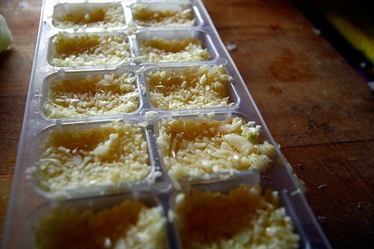 6 Different Methods for Storing Garlic