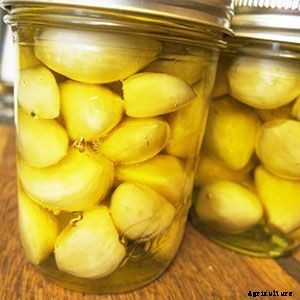 6 Different Methods for Storing Garlic