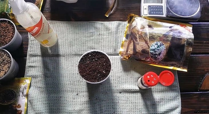 How to Grow Kale Microgreens Fast and Easy