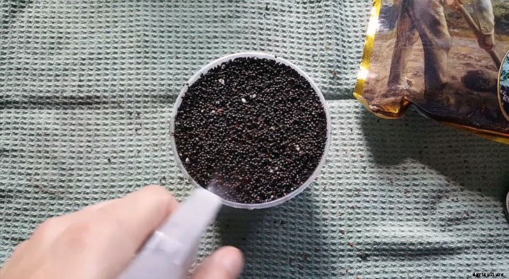 How to Grow Kale Microgreens Fast and Easy