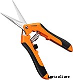 What Do You Do With Tomato Suckers?