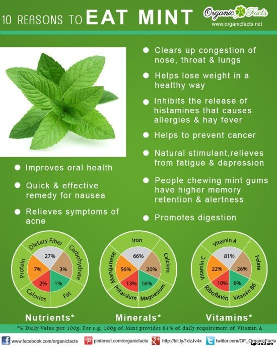 11 Most Surprising Benefits of Mint