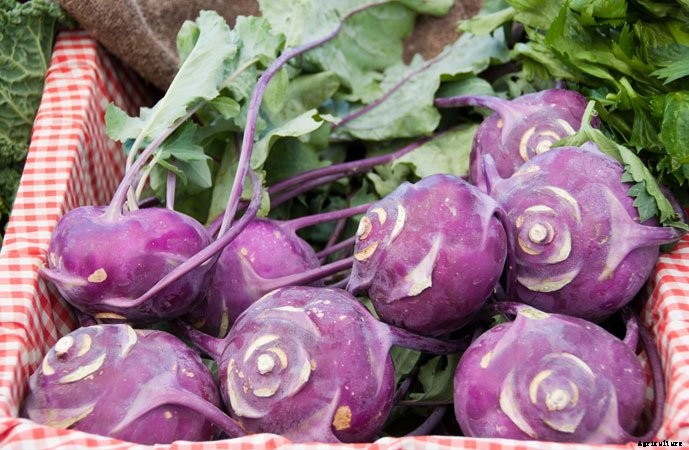 What To Plant In A Fall Garden