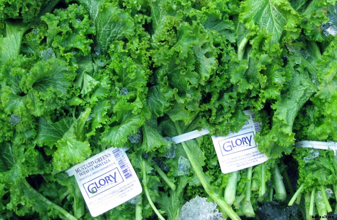 What To Plant In A Fall Garden