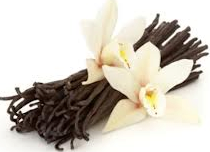 Where Do Vanilla Beans Come From?