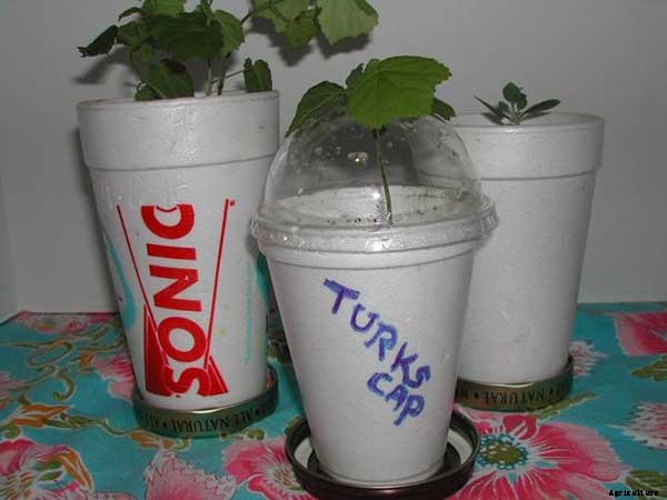 15+ Upcycle Ideas For Your Garden