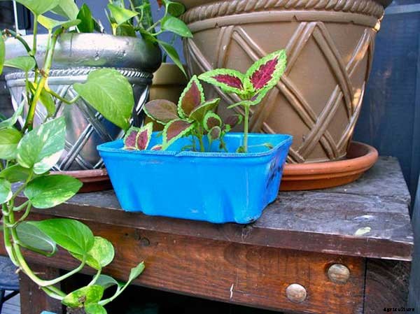15+ Upcycle Ideas For Your Garden