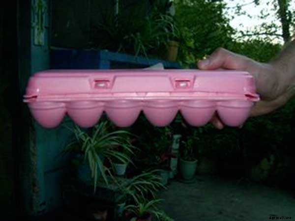 15+ Upcycle Ideas For Your Garden