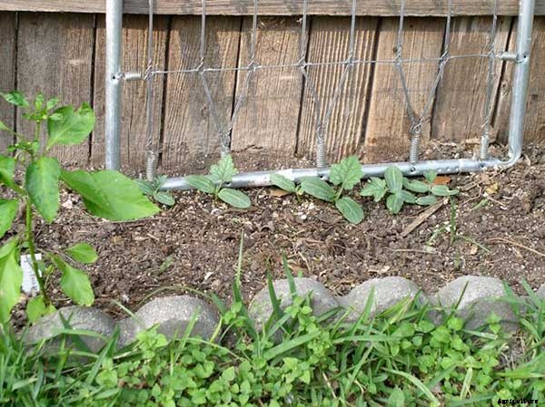 15+ Upcycle Ideas For Your Garden