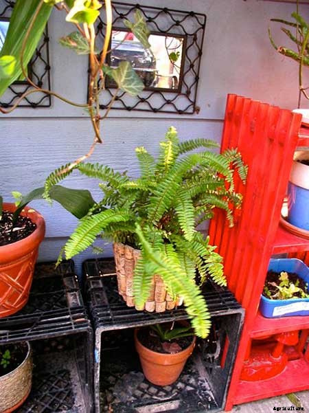 15+ Upcycle Ideas For Your Garden