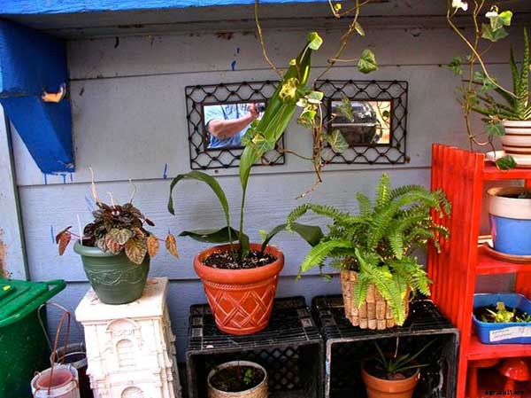 15+ Upcycle Ideas For Your Garden