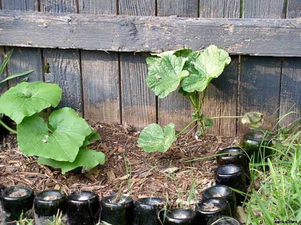 15+ Upcycle Ideas For Your Garden