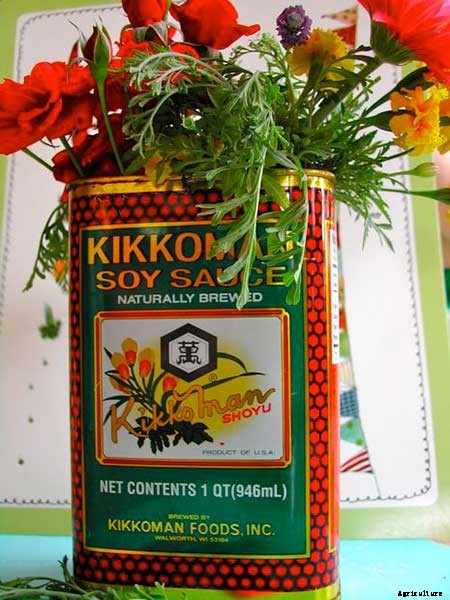 15+ Upcycle Ideas For Your Garden