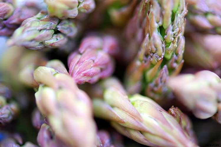 How To Grow Asparagus: All You Need To Know