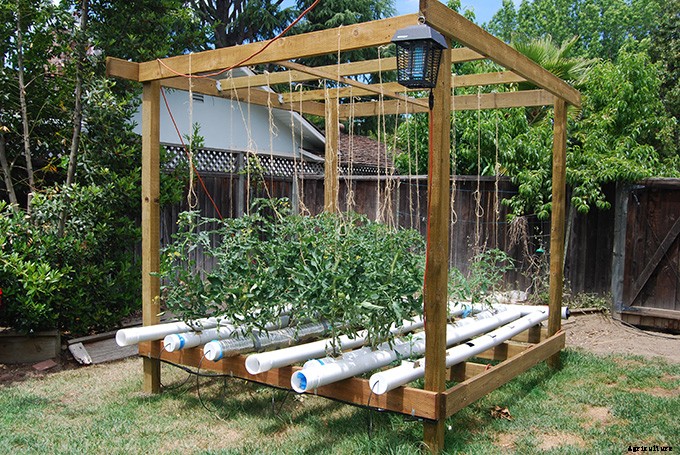 5 Creative Vegetable Garden Ideas