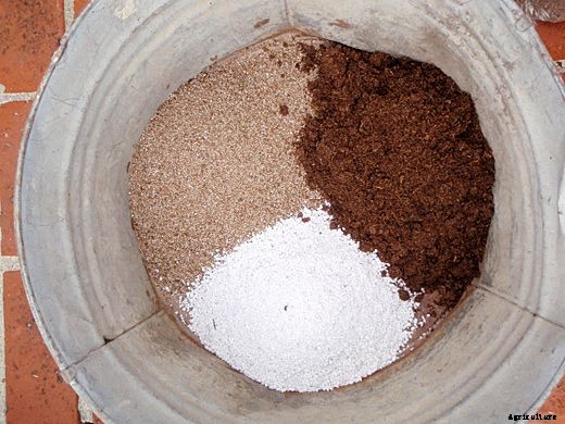 Essential Seed Starting Equipment and Supplies