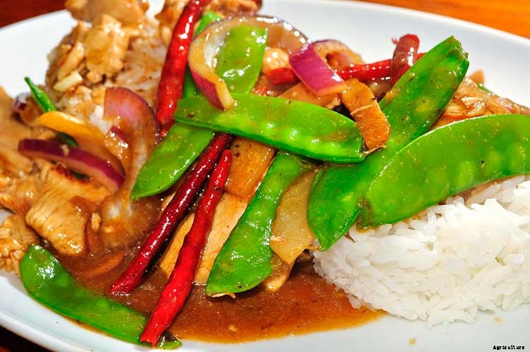 How To Grow Peas: Everything You Need To Know