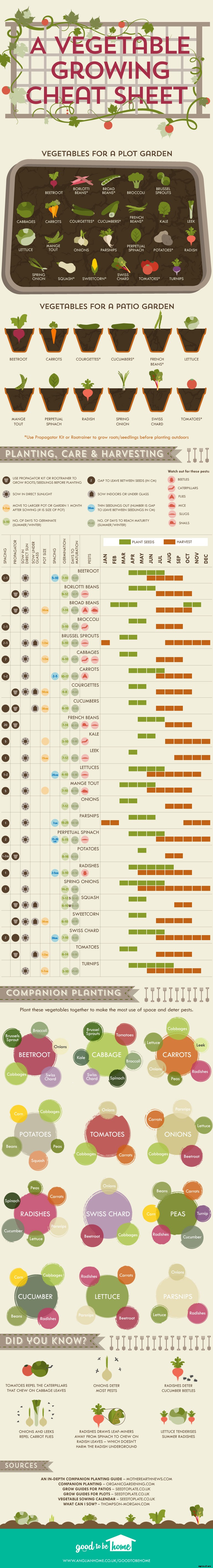A Handy Vegetable Growing Cheat Sheet
