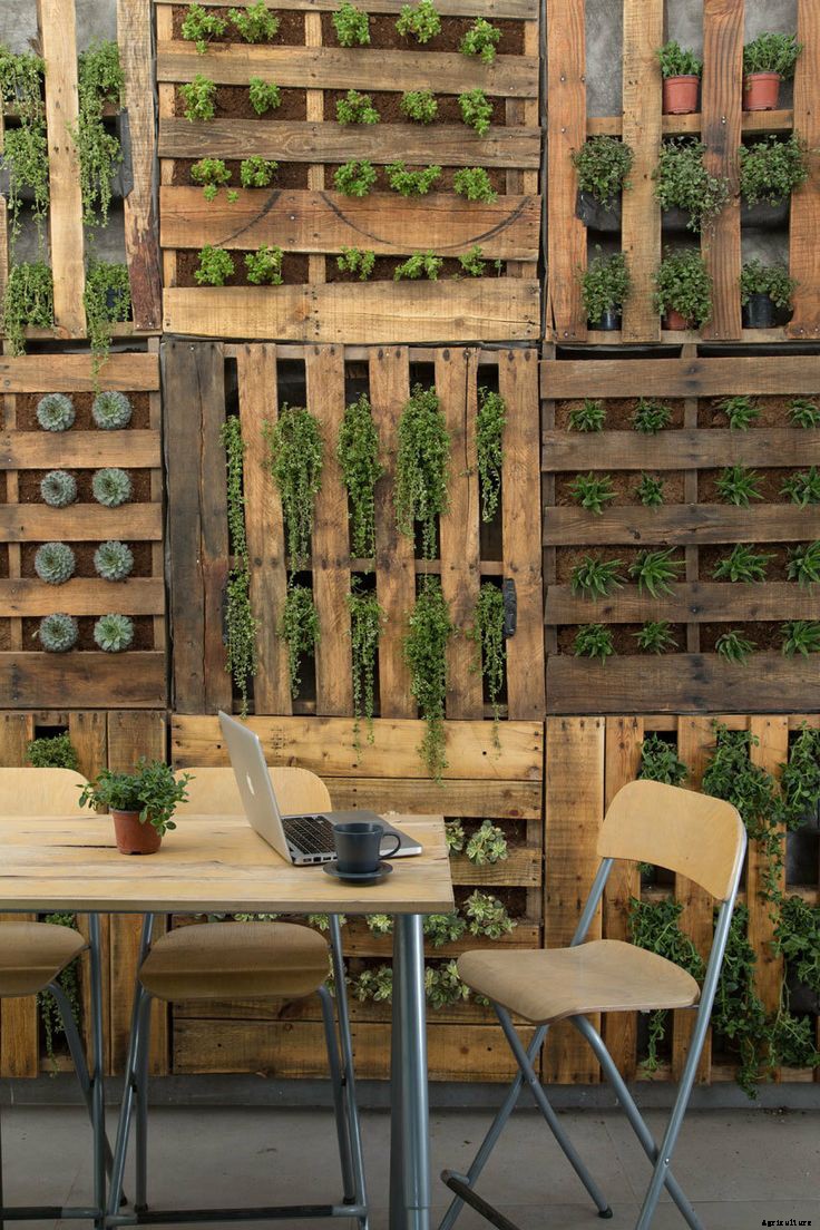 8 Awesome Vertical Gardening Ideas For Your Garden