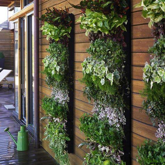 8 Awesome Vertical Gardening Ideas For Your Garden