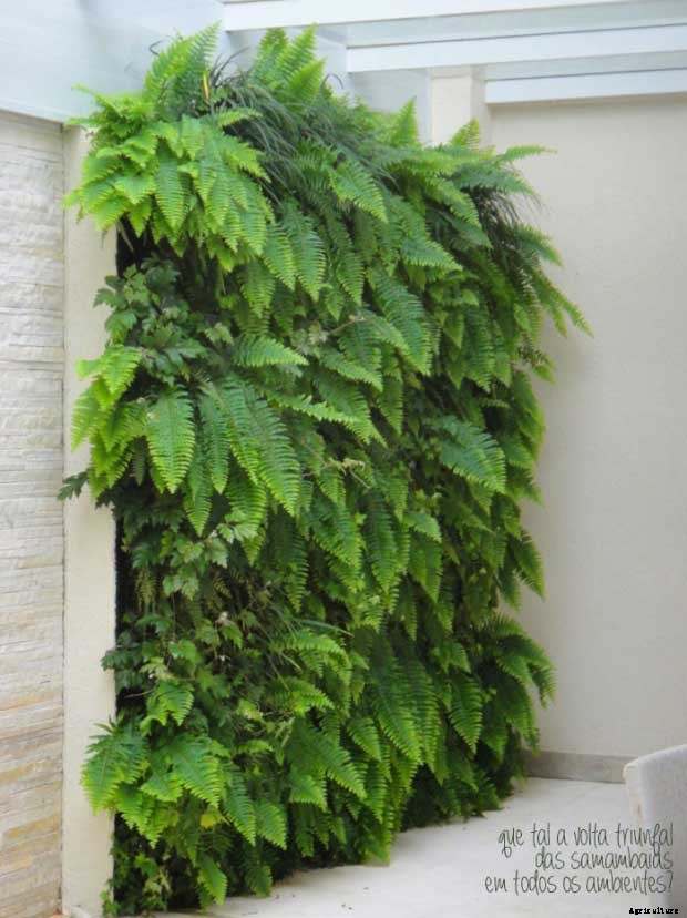 8 Awesome Vertical Gardening Ideas For Your Garden