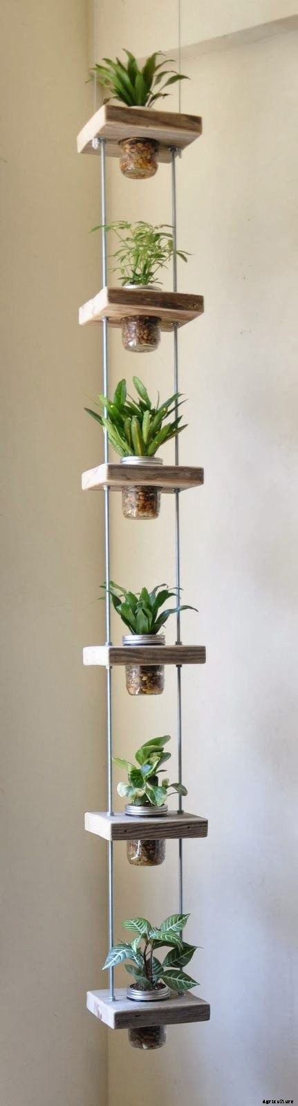 8 Awesome Vertical Gardening Ideas For Your Garden